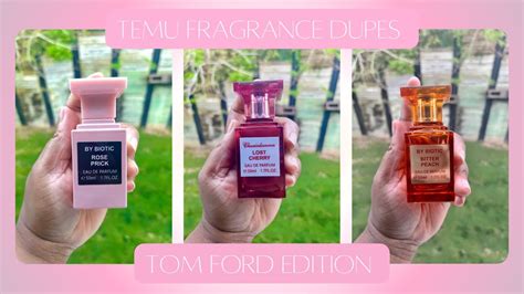 temu perfume dupes list|best temu dupes.